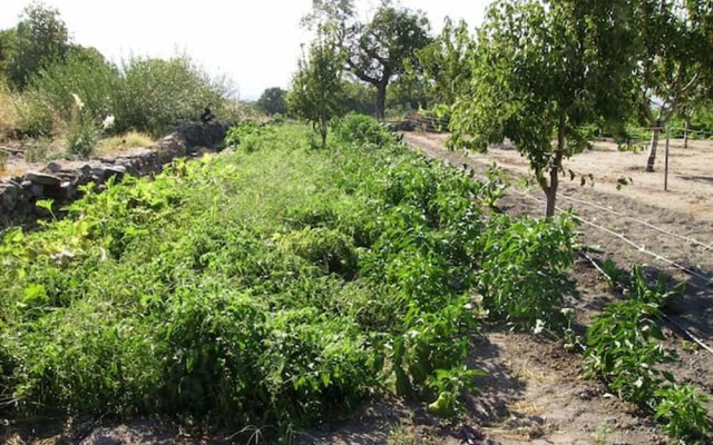 Villa With 3 Bedrooms in Montánchez, With Private Pool