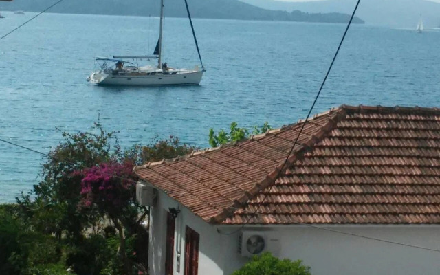 The Beach House