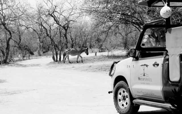 Thornhill Safari Lodge