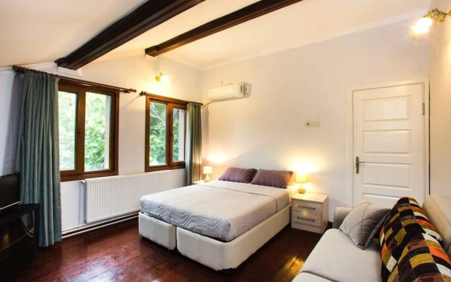 Oykum Villa Sapanca