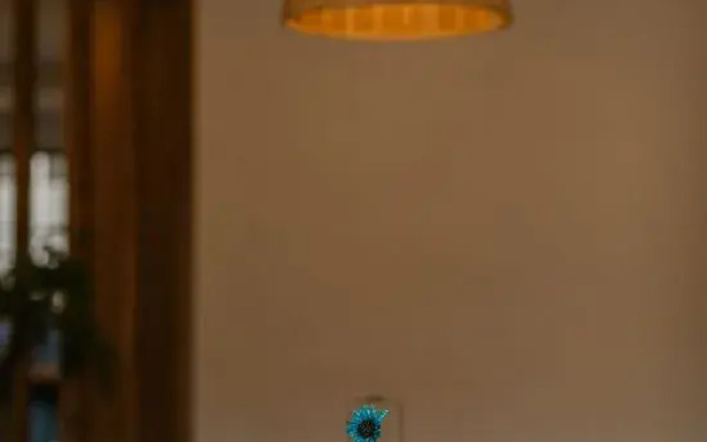 Yin Theme Hot Spring Villa Inn