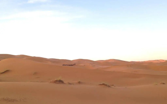 Camels House