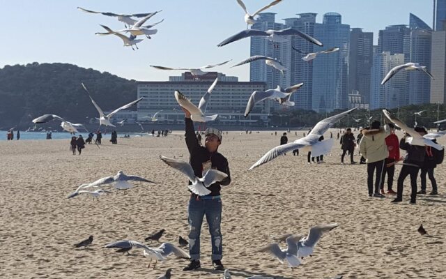 Haeundae With Guesthouse