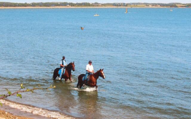 Semi-detached House, Penestin