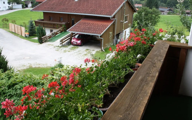 Spacious Holiday Home in Niederau near Ski Area