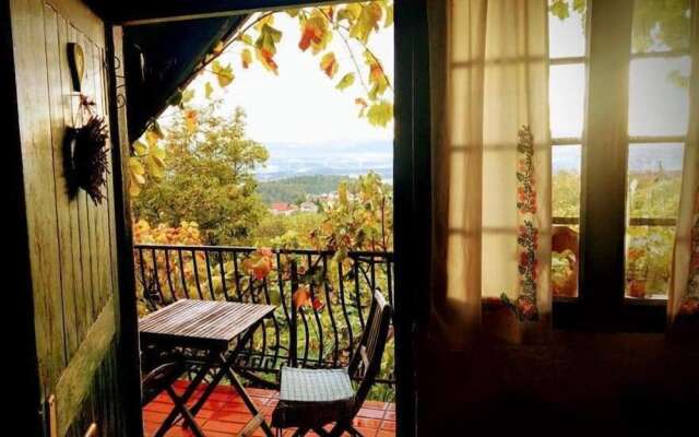 Vineyard cottage Verček