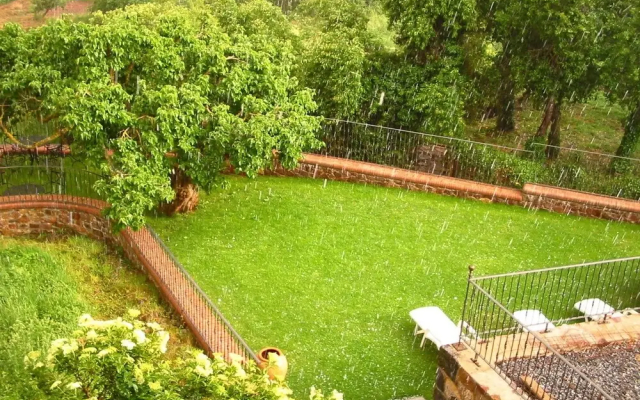 El Patio de la Morera II