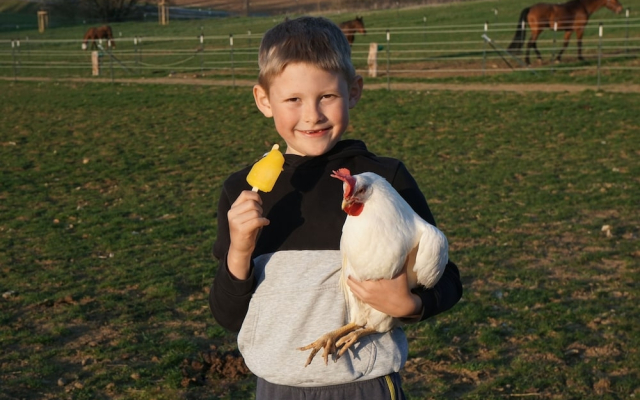 Freizeitreitstall Schammelsdorf