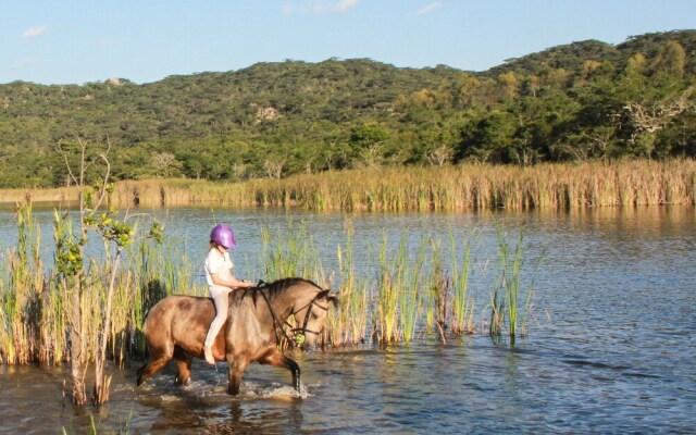 Bushman Rock Safaris