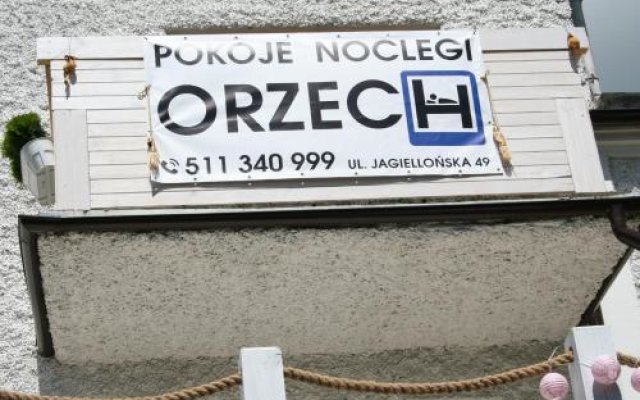 Pokoje Noclegi OrzecH