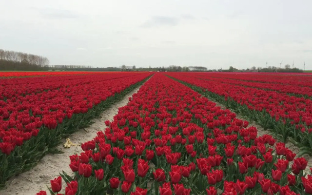 Bed & Breakfast Herkingen GR5