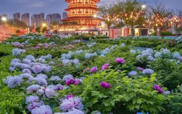 Holiday Inn Express Luoyang Longmen, an IHG hotel