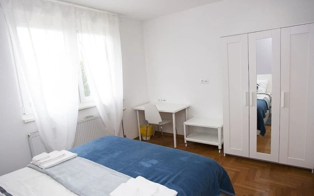 Paw Rooms