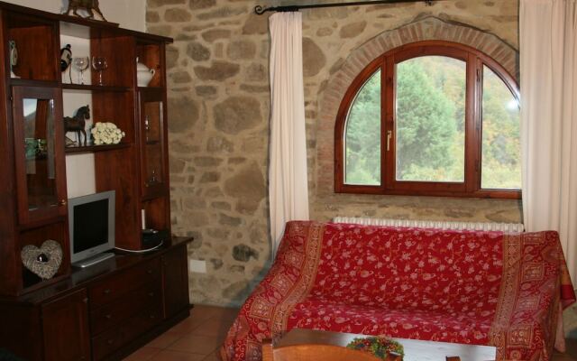 Cosy apartment in the well known Chianti area, with swimming pool and terrace.