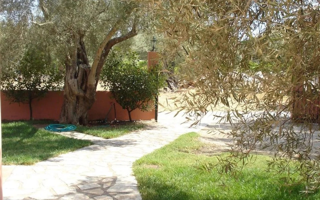 Ionian Breeze Studios