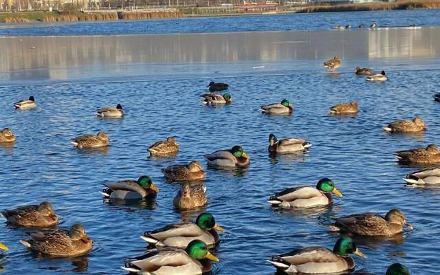 Апартаменты на улице Зайни Султана 8