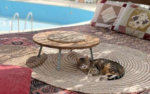 Olympos Angels Garden