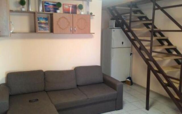 Guest House Kalinina Street 133