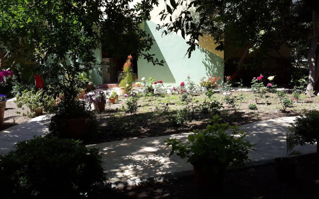 Cirali Olympos Hotel