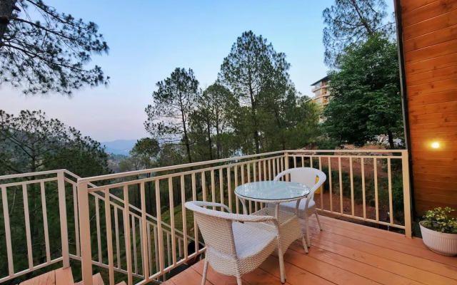 Musical Paradise Kasauli