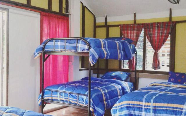 Happy House Backpacker - Hostel