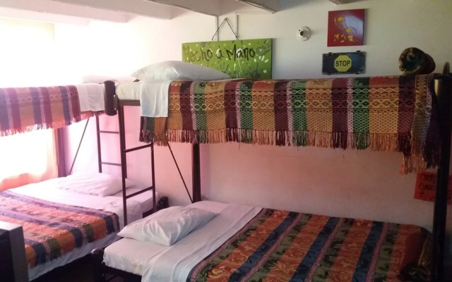 Zipaquira Coffee Town Hostel