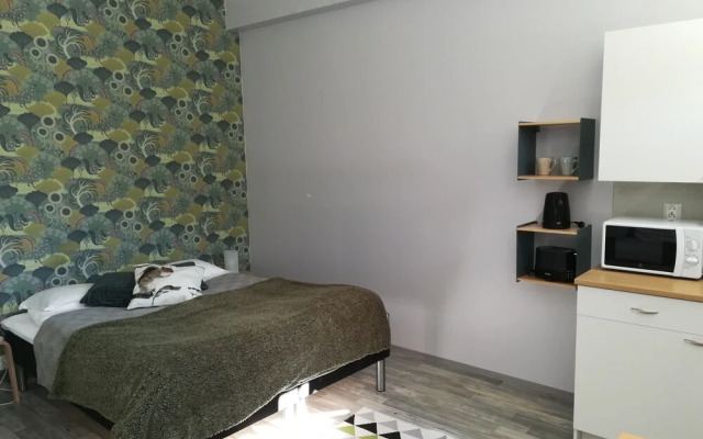 Savonlinna Rentals