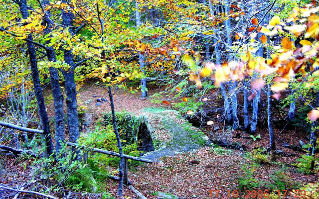 Guest House - To Archontiko
