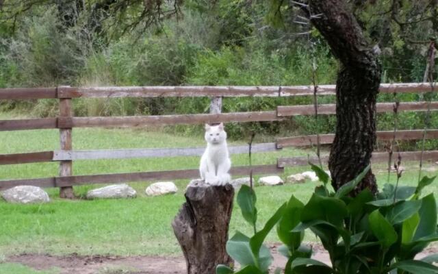 Cabañas Calma Chicha
