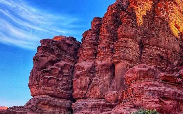 Bedouin habits tours camp