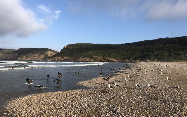 Ilanga Beach House and Studios