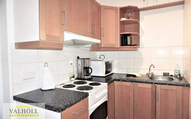 Reykjavik Center Condos