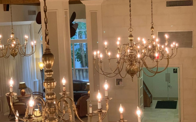 Tropicals of Palm Beach