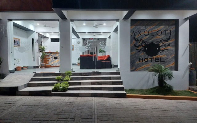 Hotel Axolotl