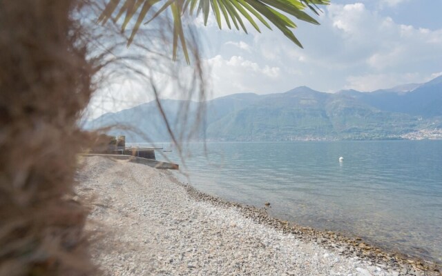 Dream Lake Apartments