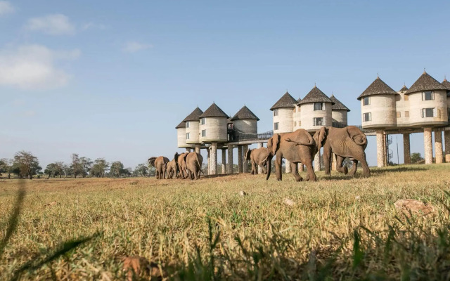Salt Lick Safari Lodge