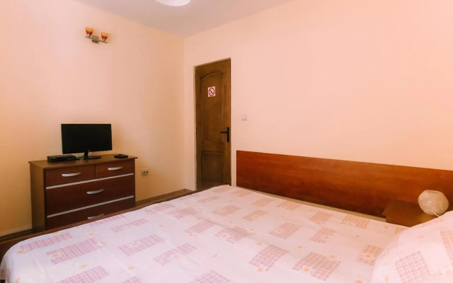 Spacious Apartment near Peles