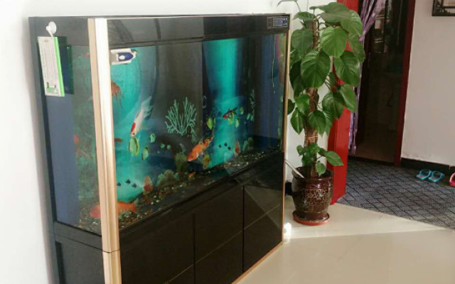 Qiao Family Compound Rural Guesthouse