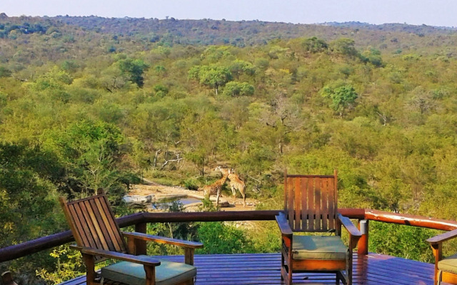 Elephant Game Lodge