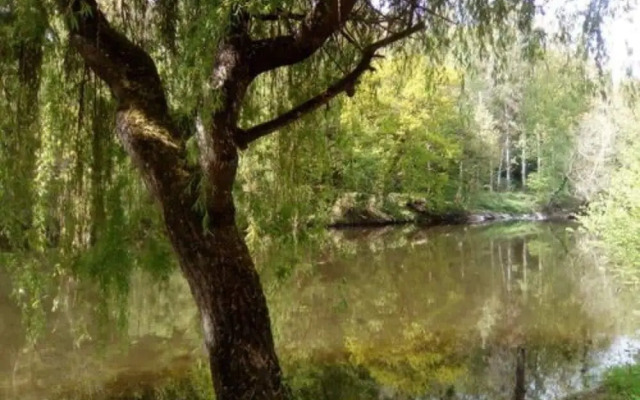 Camping Les Chambons