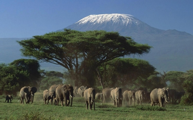 Ol Tukai Lodge Amboseli