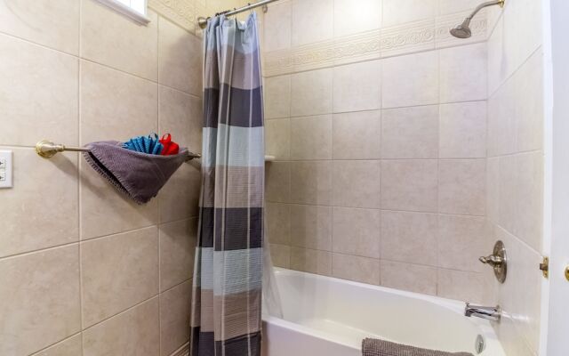 Sea Biscuit by Vtrips