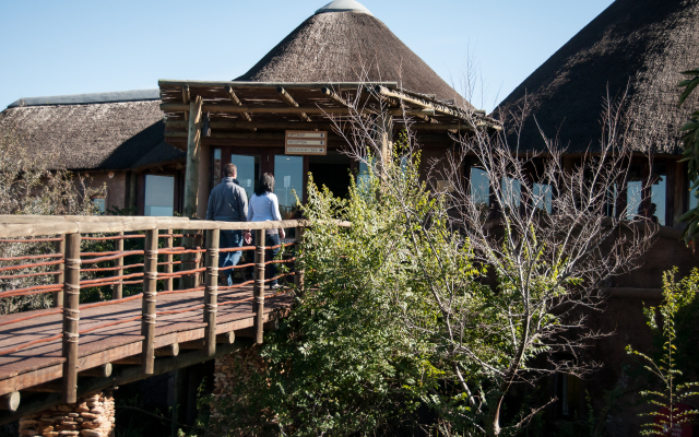 Buffelsdrift Game Lodge