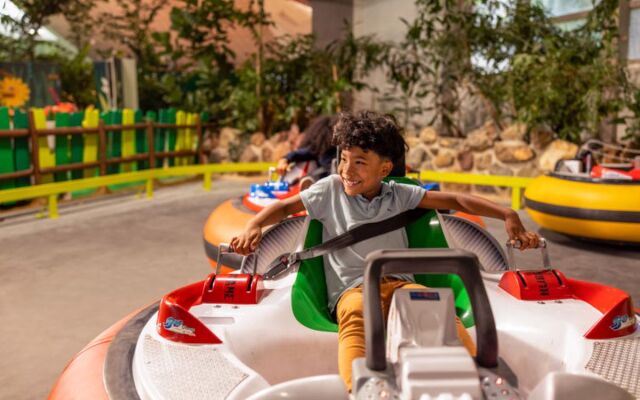 Center Parcs Les Bois-Francs