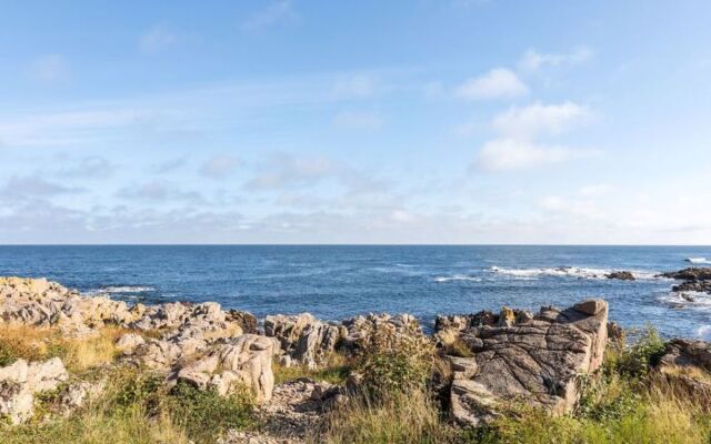 "Stamen" - 100m from the sea in Bornholm