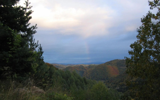Villa Kostic Kopaonik
