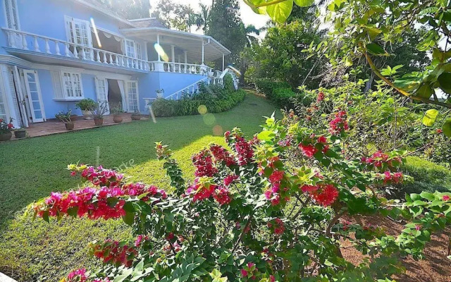 Villa Manana, Ocho Rios 5BR