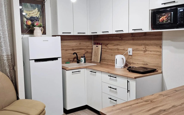 Аппартаменты на улице Академика Постовского