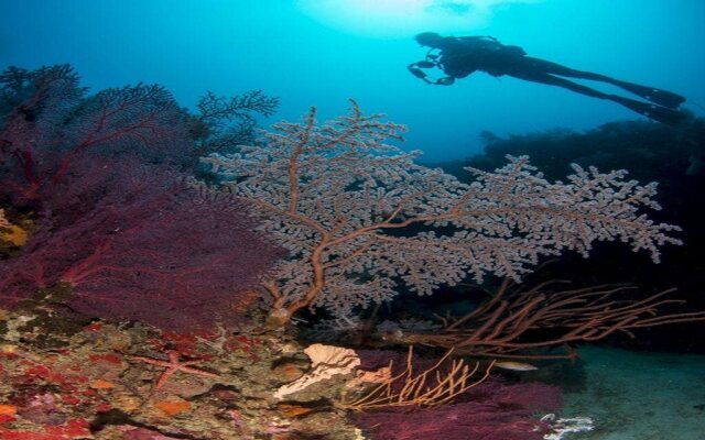 Punta Bulata Resort & Spa