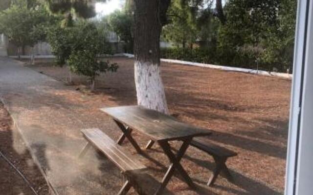 Pine Villa